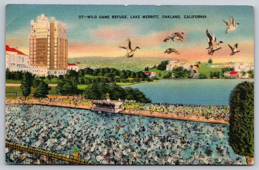 1939 Linen Postcard Lake Merritt Wild Game Refuge Oakland CA Road Trip Message